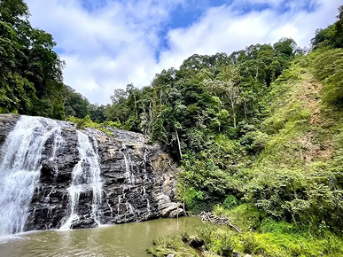 Coorg