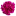www.joshayu.com favicon
