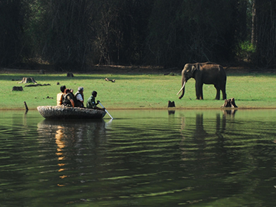 Kabini