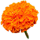 orange_flower
