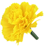 yellow_flower